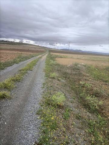 Terreno en Venta en Mascaraque