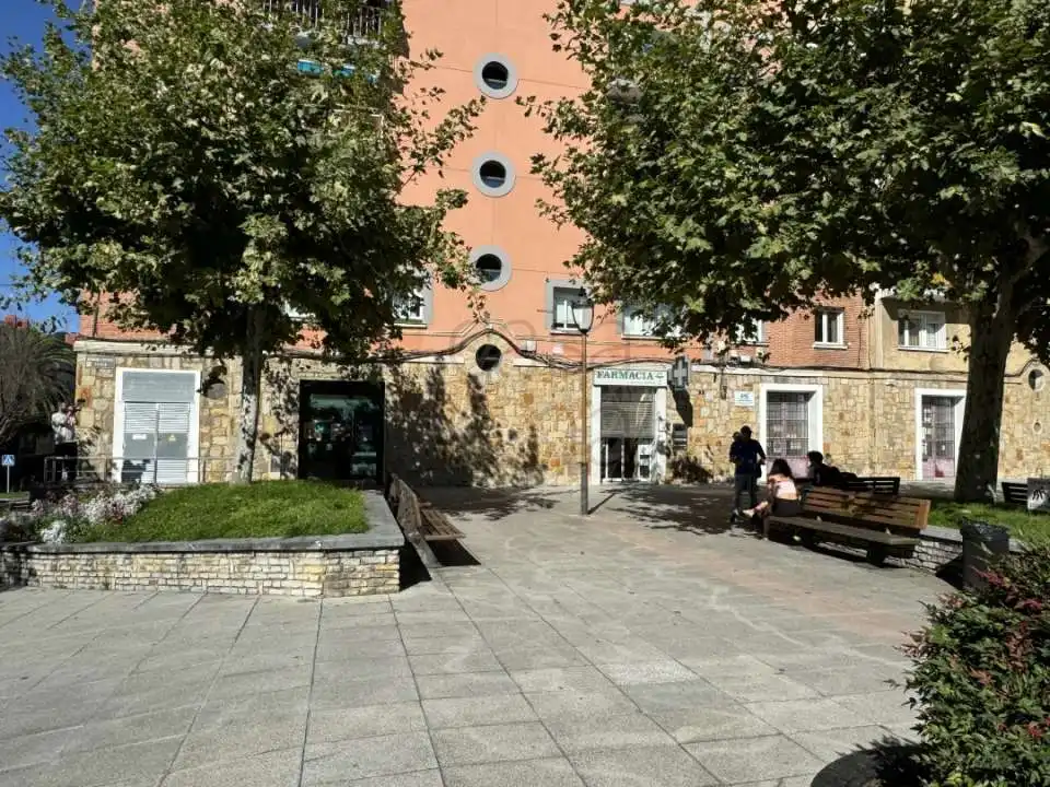 Business premises for sale in Langilearen Kalea