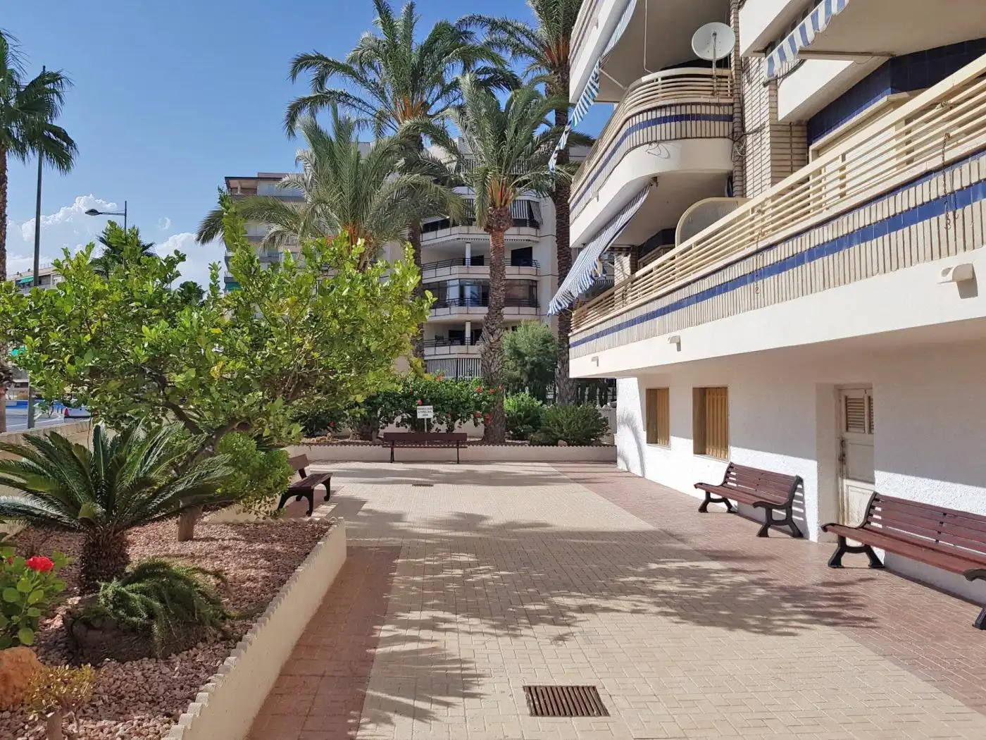 Flat for rent in Calle de Fernando Pérez Ojeda, Centro