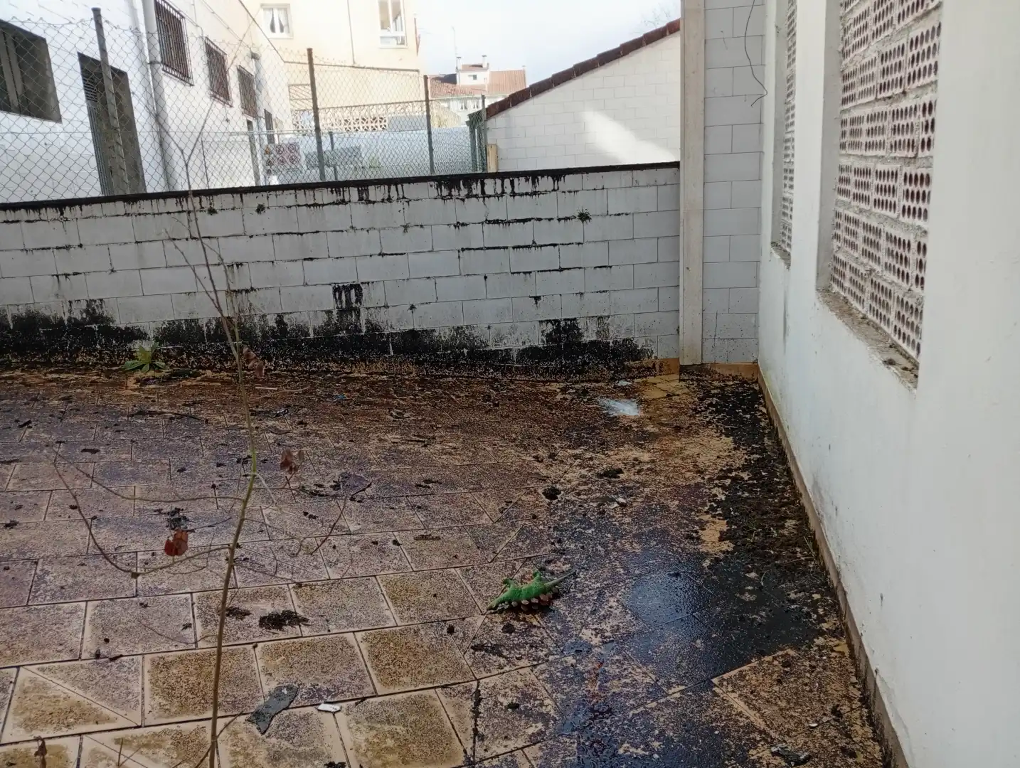 Local en venta en Nava