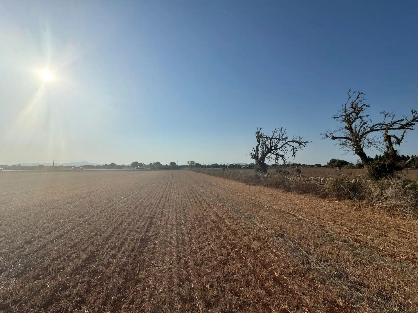 Rural land for sale in M14 Diseminado Primera Volta