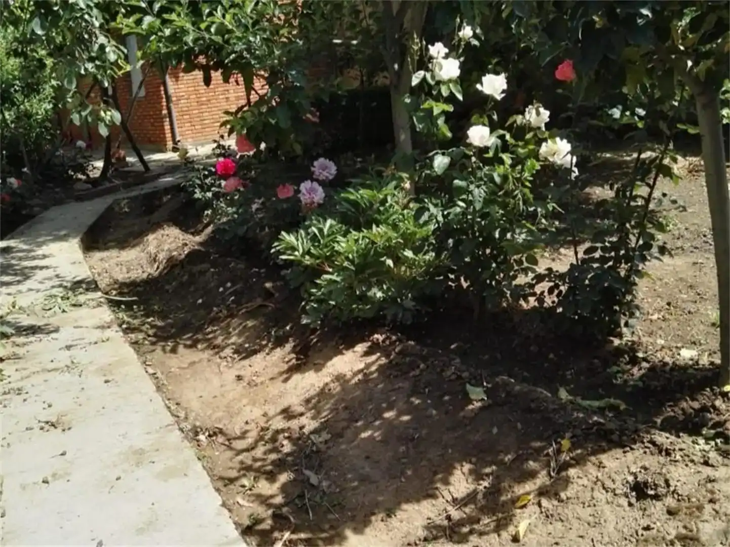 Jardí de Finca rústica en venda en Vega de Infanzones amb Jardí privat i Traster