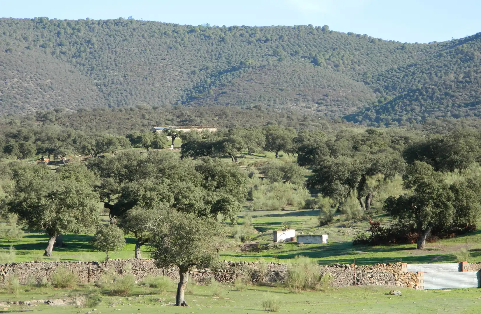 Rural land for sale in La Hispanidad - Verdeluz, imagen 35