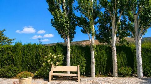Foto 4 de Finca rústica de lloguer a Ibi, Alicante