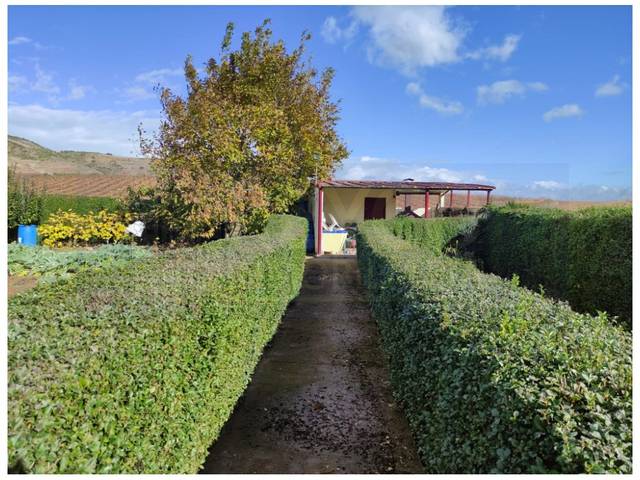 Finca rústica en Venta en Hormilla