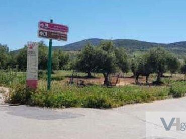 Terreni e lotti in vendita a Puerto Serrano