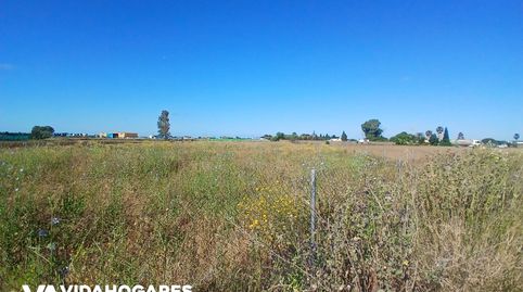 Photo 3 of Country homes for sale in Norte - Blanca Paloma, Rota