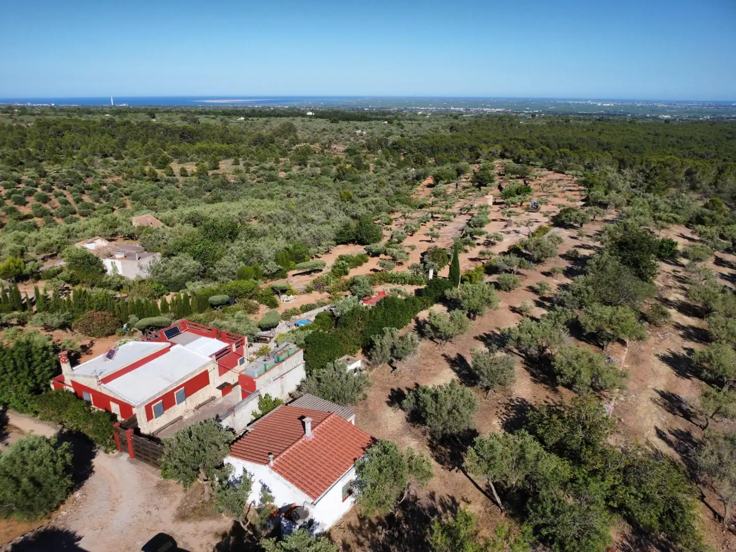 Jardí de Finca rústica en venda en L'Aldea amb Traster