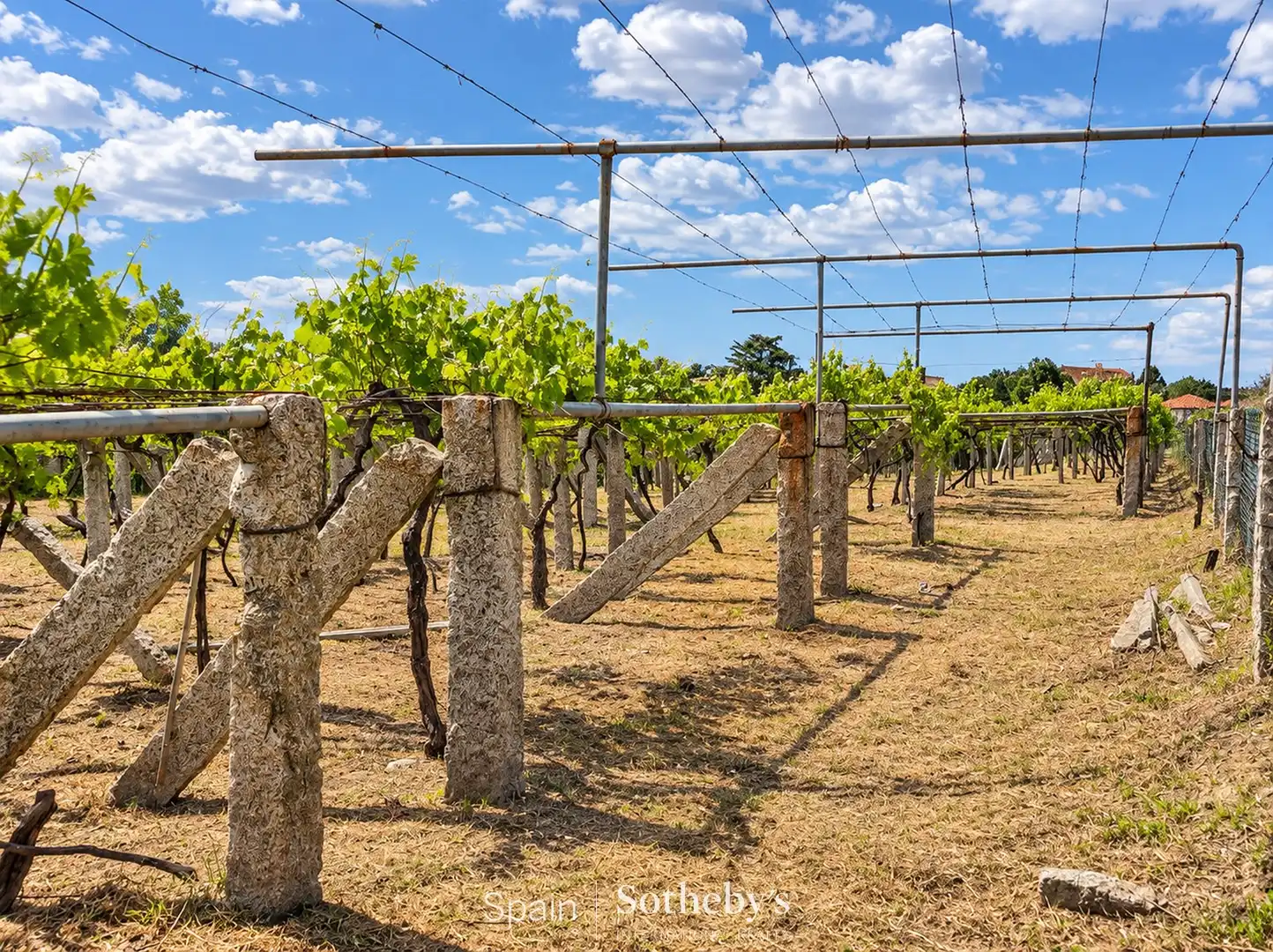 Residential land for sale in Lugar Padriñan, imagen 5