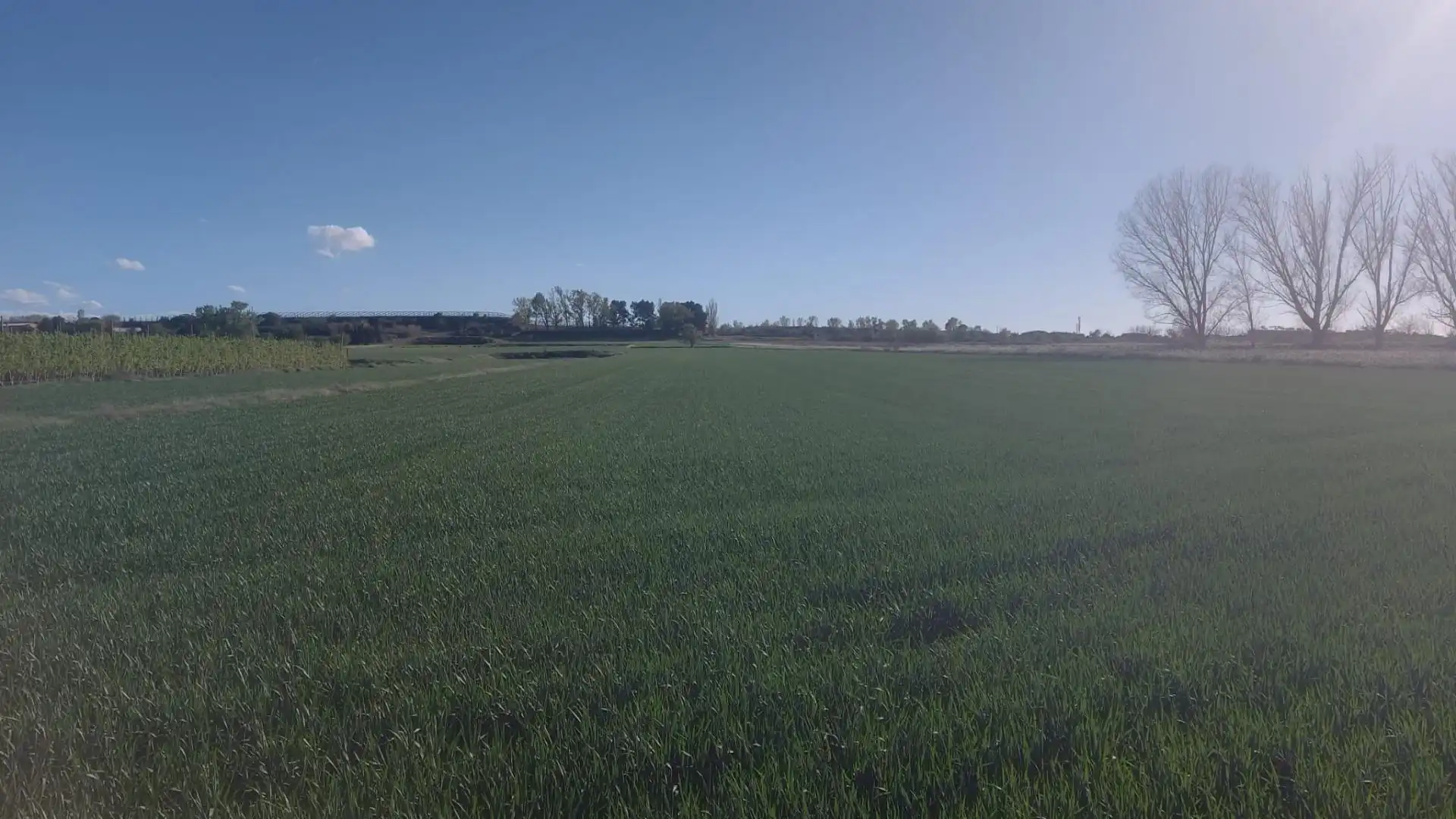 Terreni e lotti in vendita a Fondarella