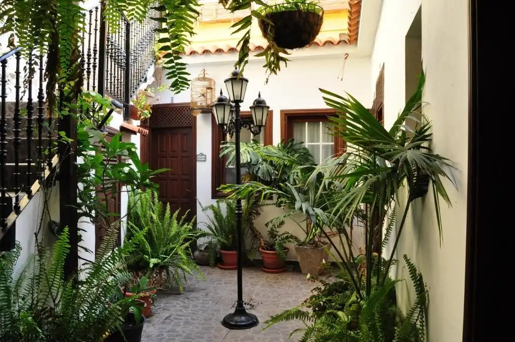 Exterior view of Buildings for sale in Hermigua