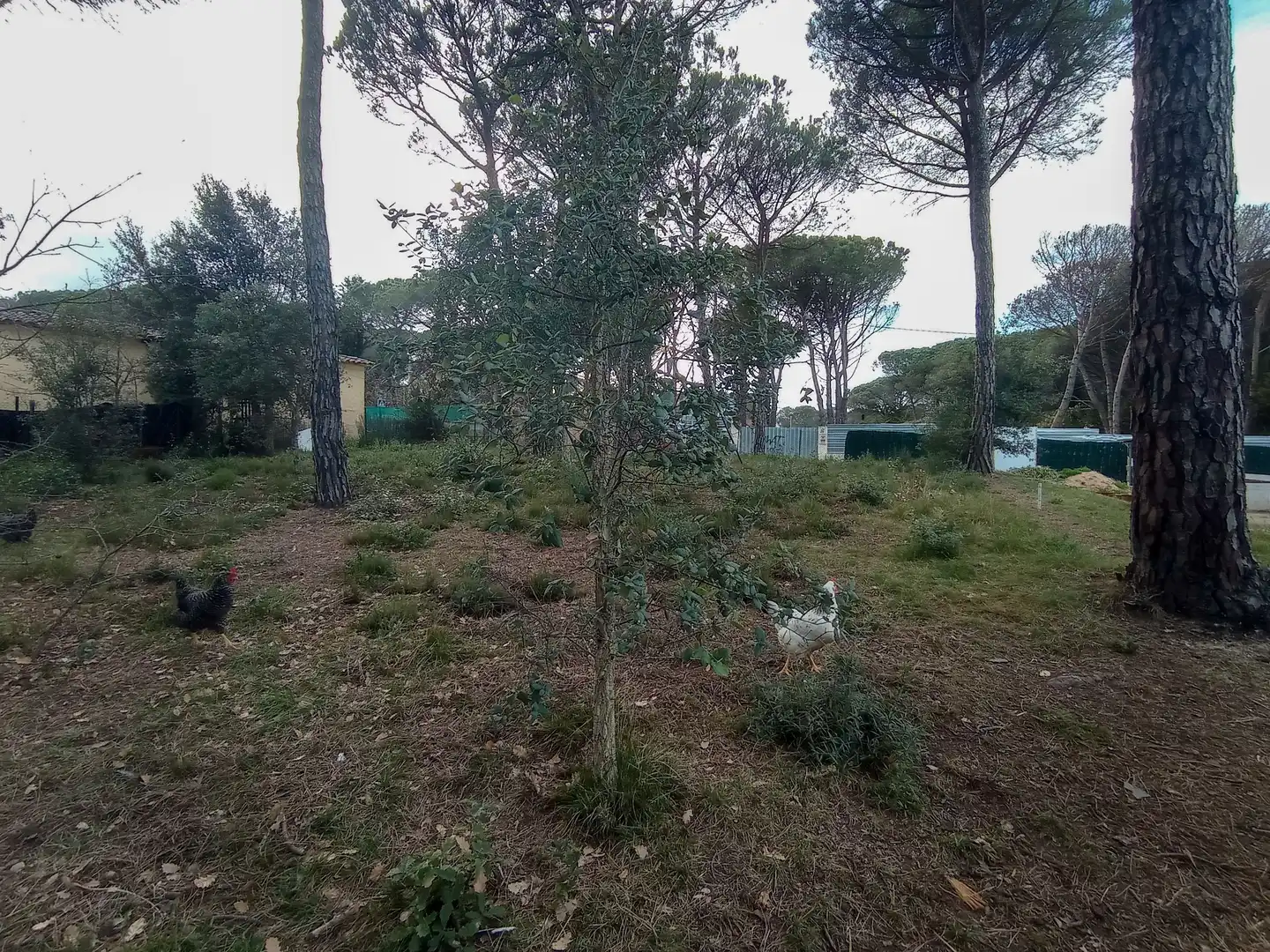 Terreny residencial en venda a Llagostera, imagen 10