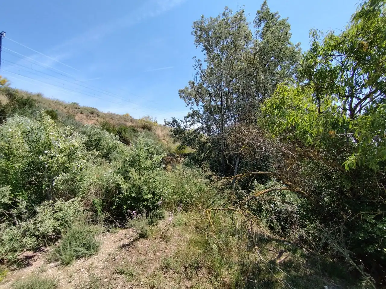 Finca rústica en venta en Puigverd de Lleida