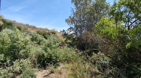 Foto 2 de Finca rústica en venta en Bassa Torre, Puigverd de Lleida, Lleida