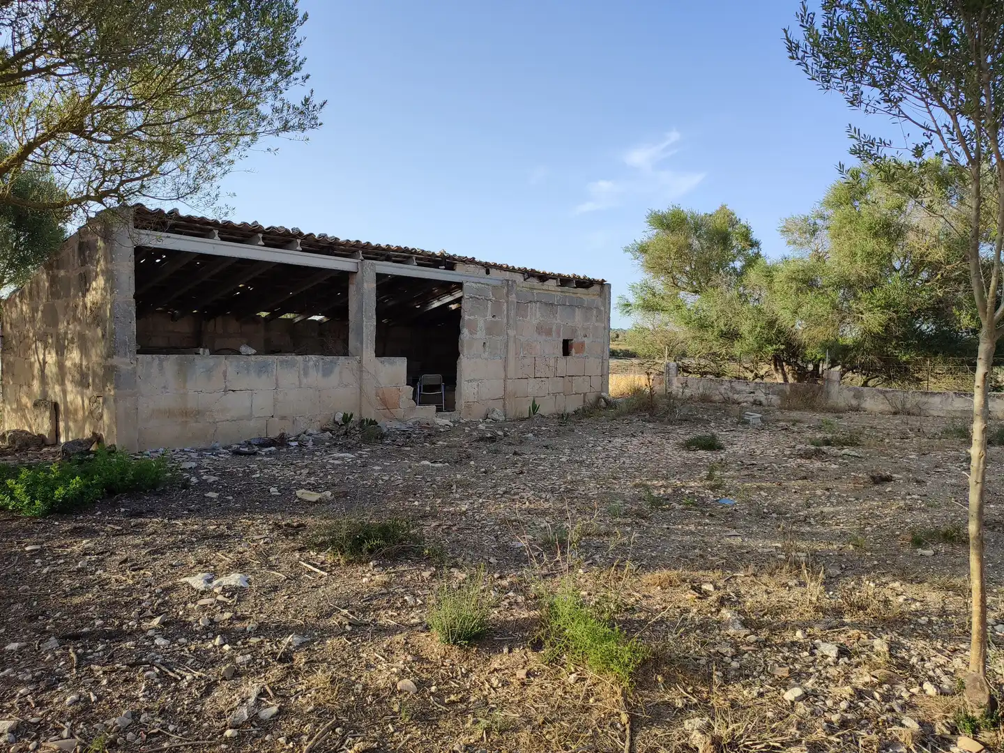Wohnbaugrundstück zum Verkauf in Petra, imagen 2
