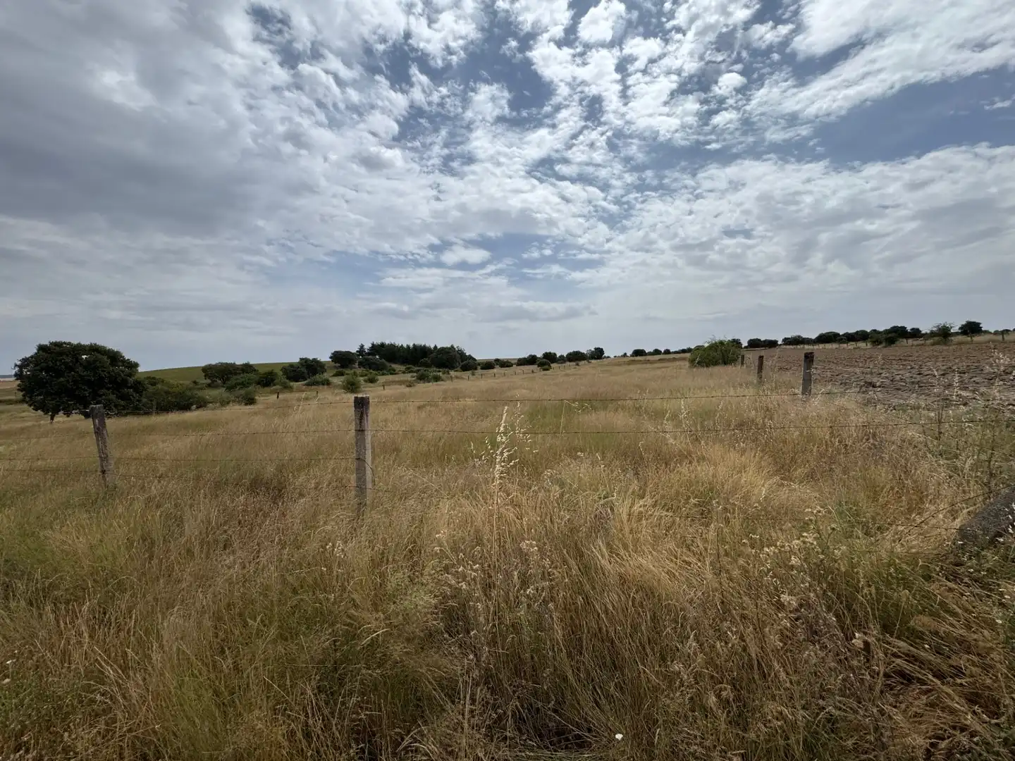 Terreno en venta en Añover de Tormes