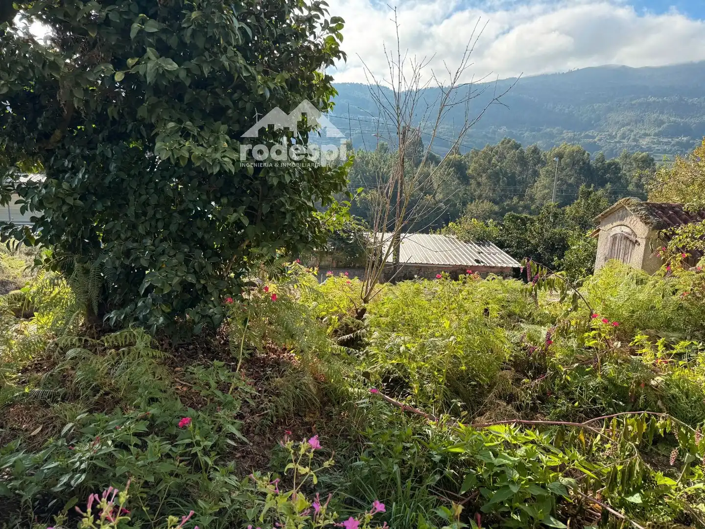 Maison à vendre à Crecente, imagen 19