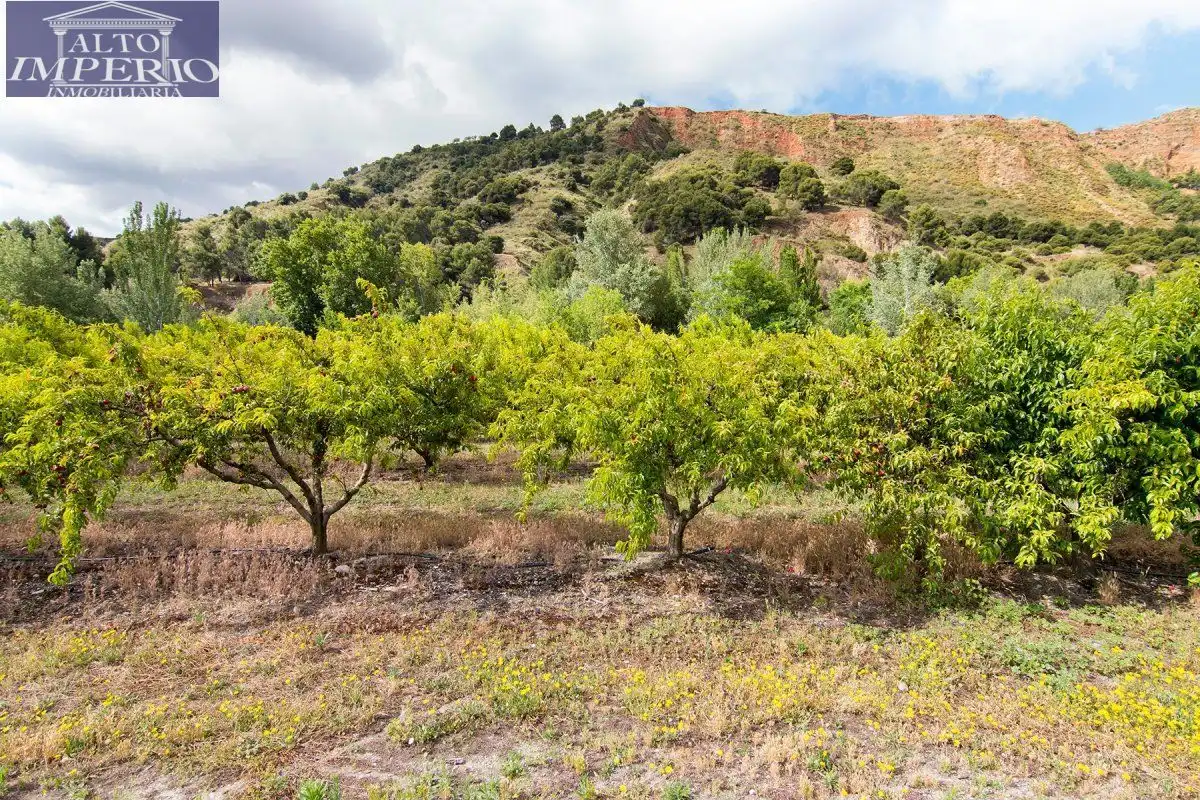 Finca rústica en venta en Granada