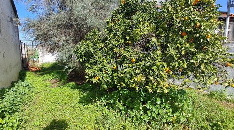 Foto 3 de Casa o xalet en venda a Cerro Muriano, Córdoba Capital