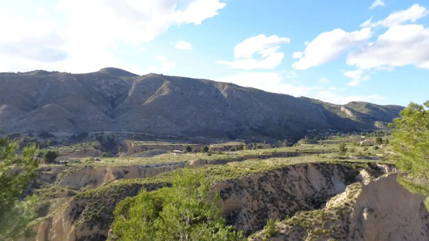 Terreno rustico in vendita a Partida CARREFOUR - FIGUERALET, imagen 3