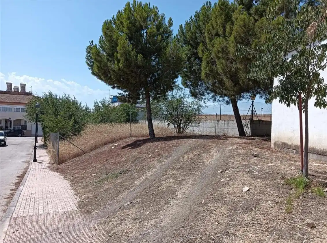 Terreni e lotti in vendita a Calle Infanta Catalina