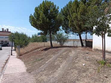 Terreni e lotti in vendita a Calle Infanta Catalina