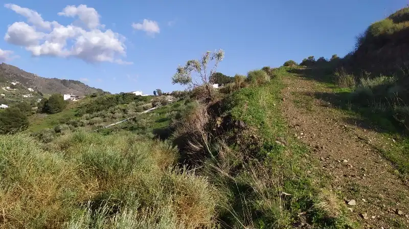 Land for sale in Frigiliana