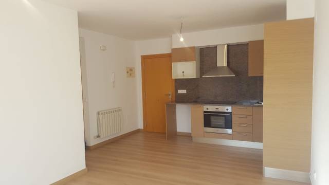 Piso en Venta en COMPOSITOR PEDRELL en Olot
