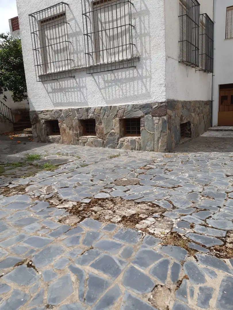Exterior view of Buildings for sale in Constantina