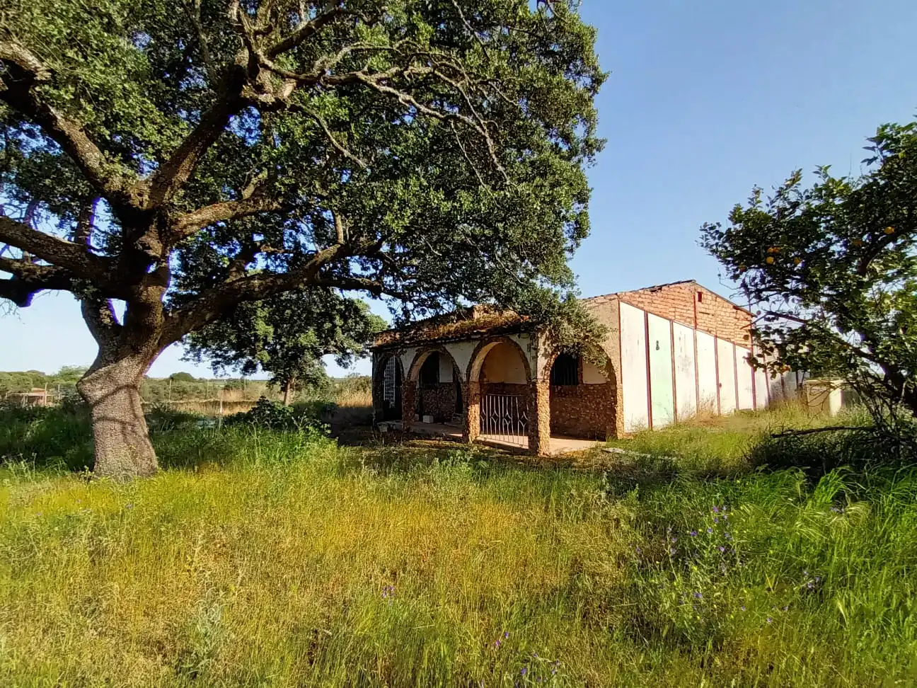 Terreni e lotti in vendita a Carretera Valverde de Mérida, imagen 6