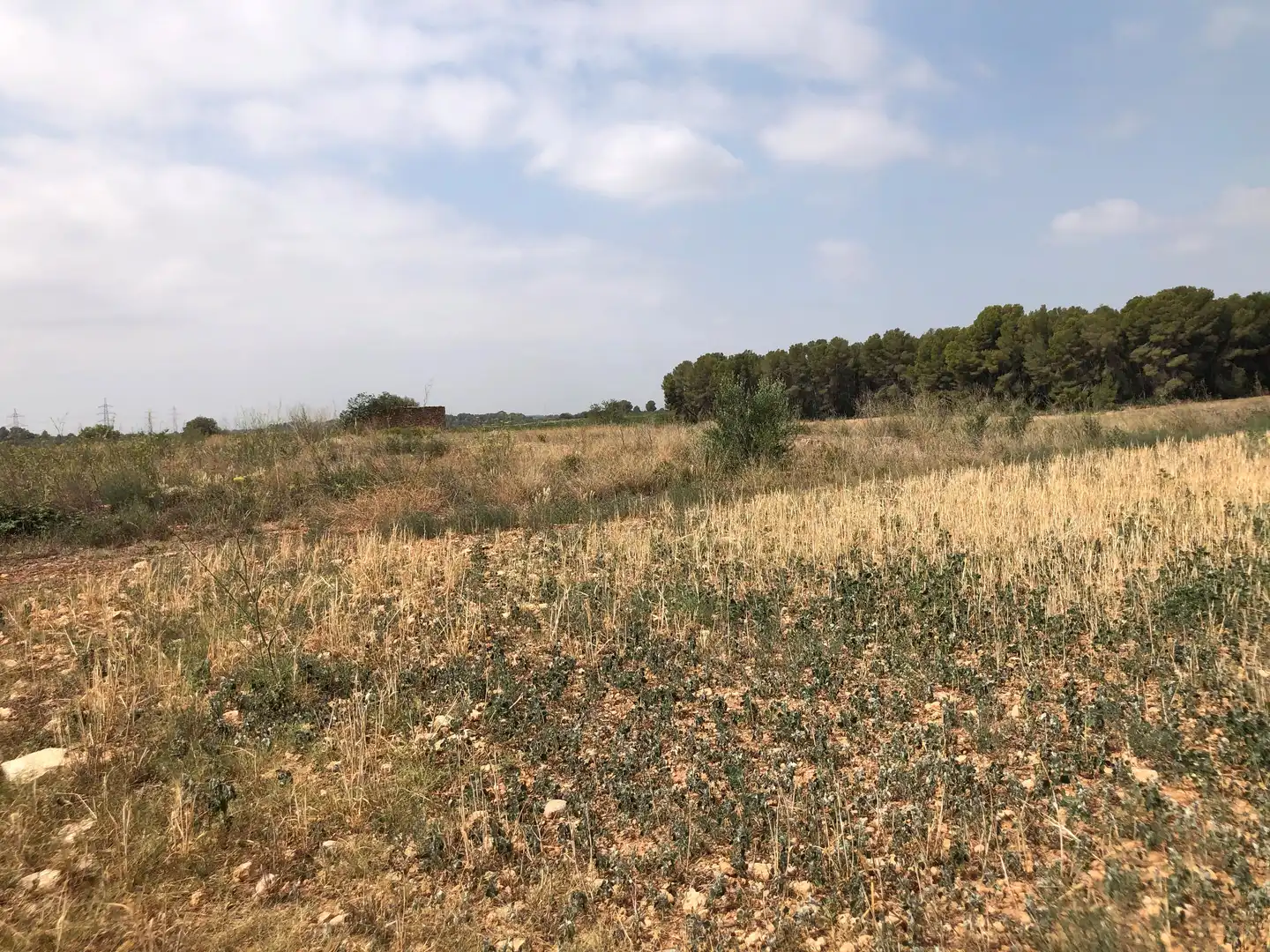 Terreno rústico en venta en Vila-rodona, imagen 14