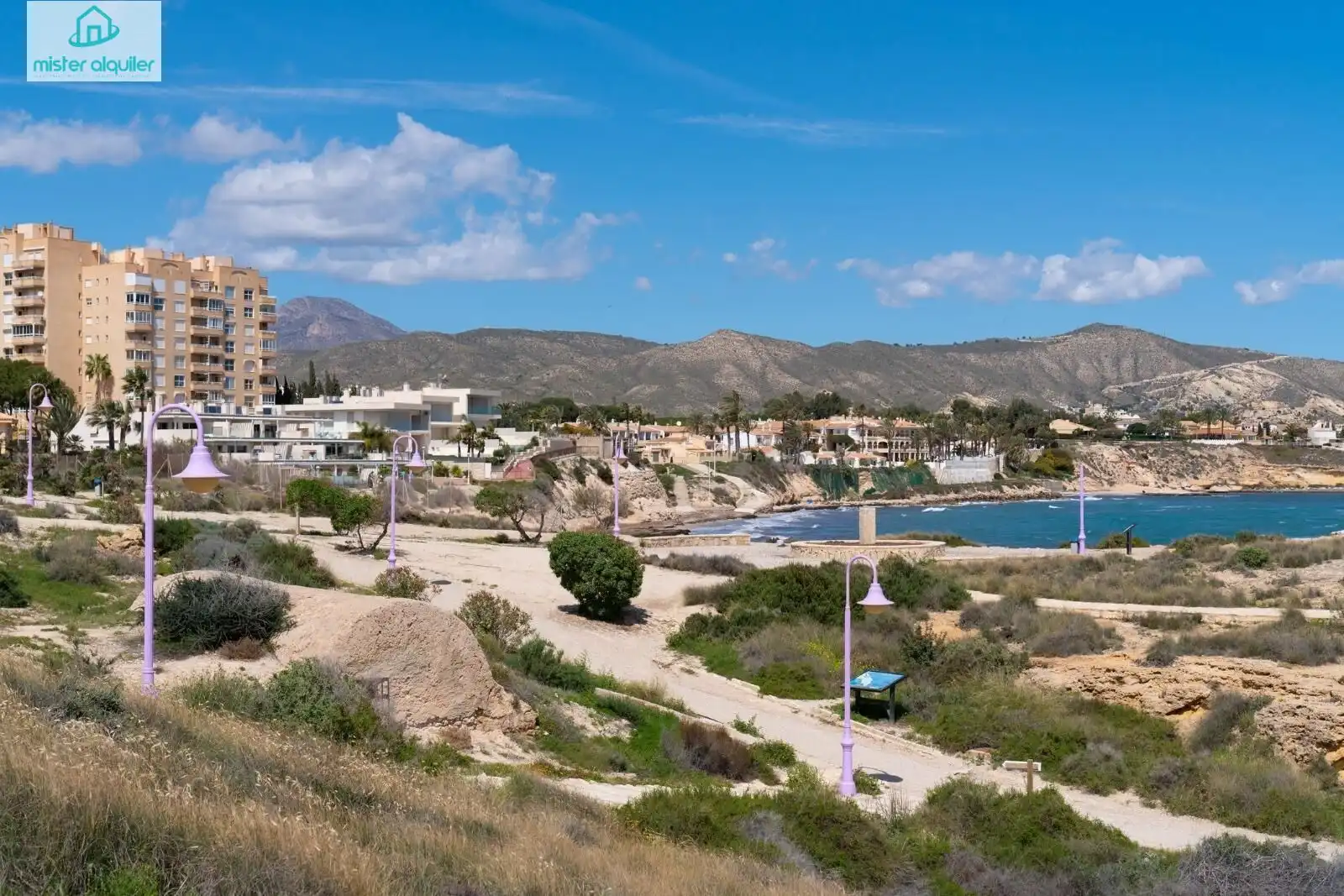 Bungalow con terrazza in affitto a Calle ALBAYNA 3, imagen 80
