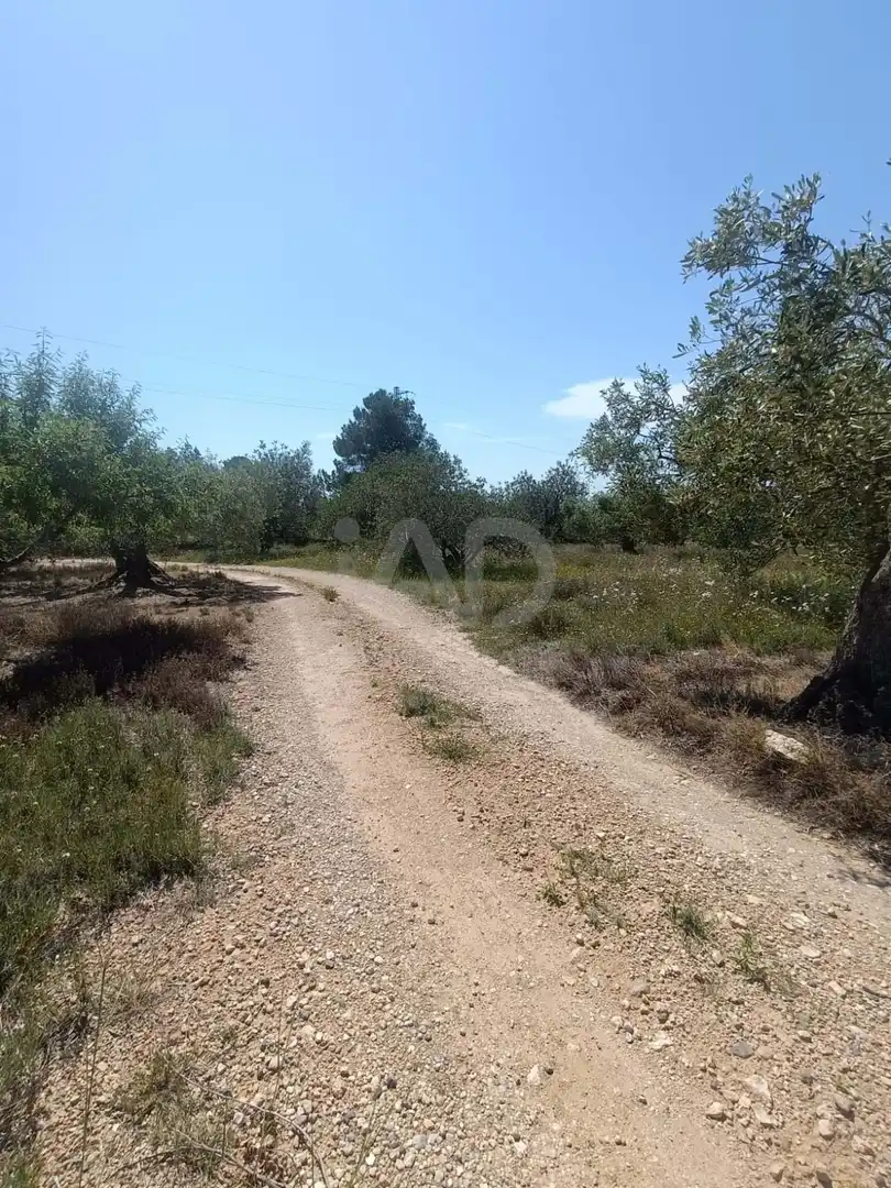 Residencial en venda en L'Ametlla de Mar 