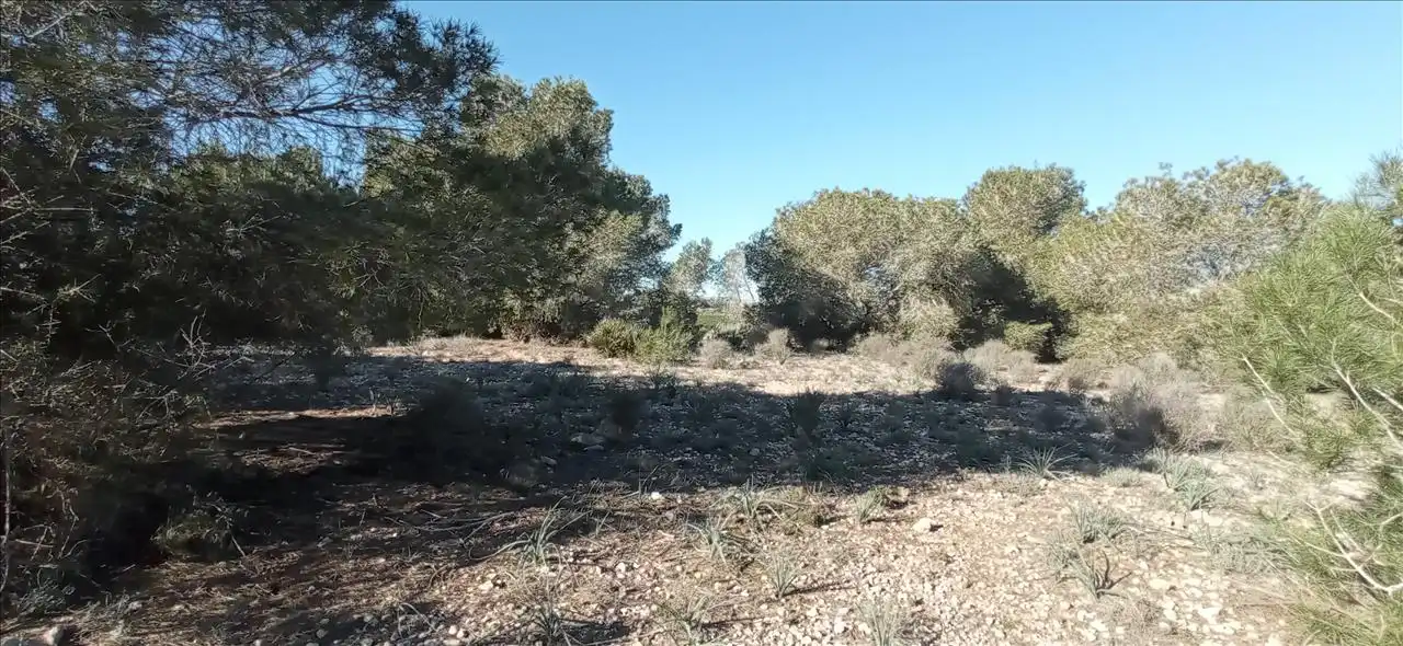Terreno rústico en venta en LO MESEGUER. LOS MONTESINOS, POL 1, imagen 7
