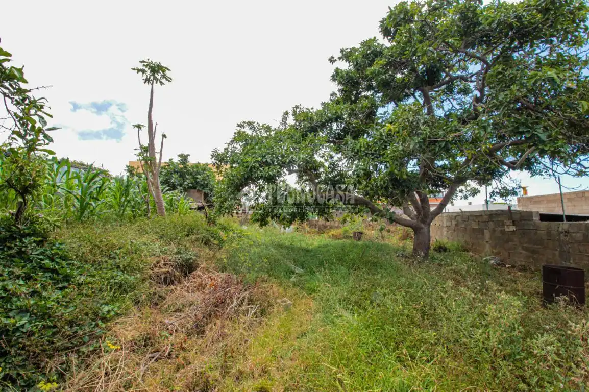 Terreno residencial en venta en El Sauzal, imagen 20