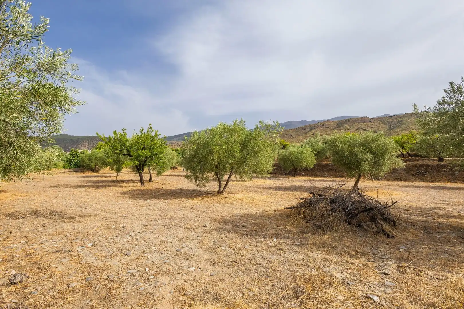 Country homes for sale in Abrucena  with Storage room