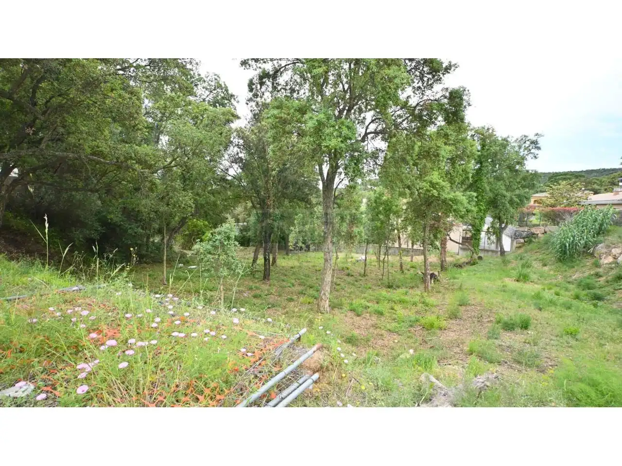 Residencial de alquiler en Calonge i Sant Antoni