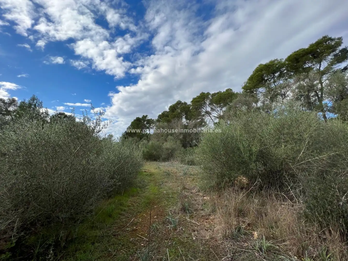 Residencial en venta en Algaida