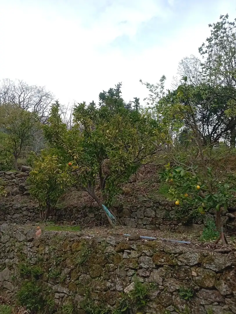 Terreni e lotti in vendita a Valverde de la Vera, imagen 67