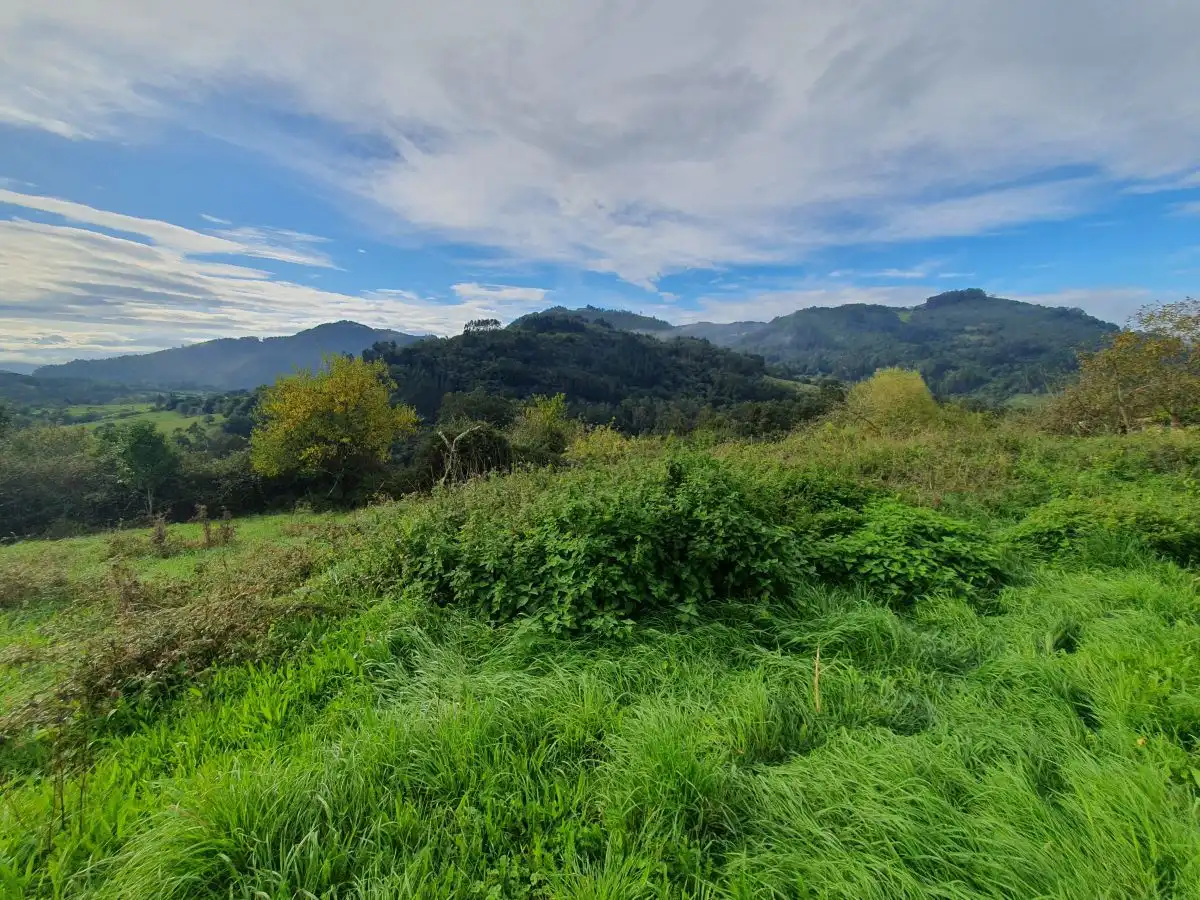 Casa o chalet en venta en Candamo