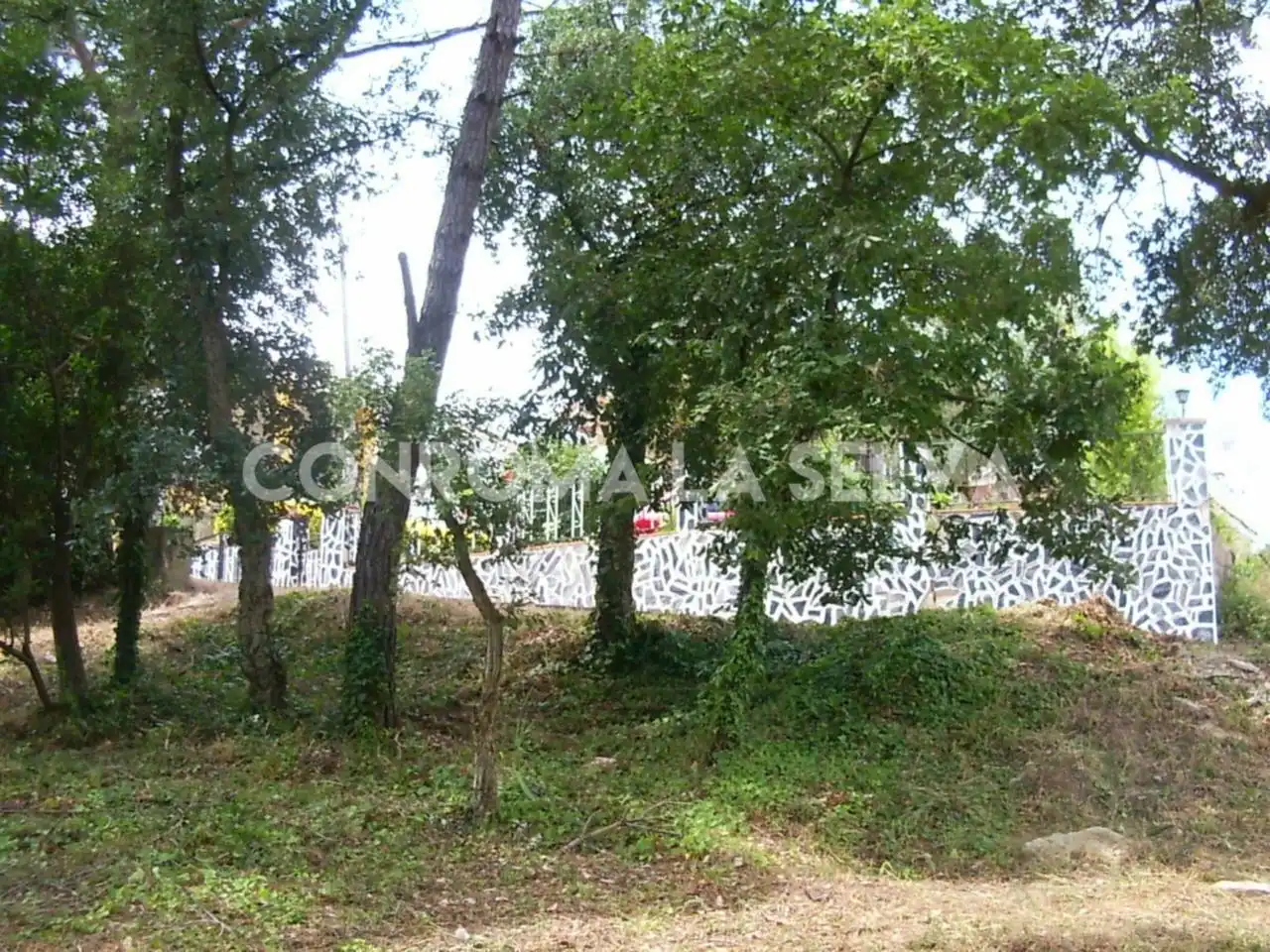 Residential land for sale in Residencial Park, imagen 11