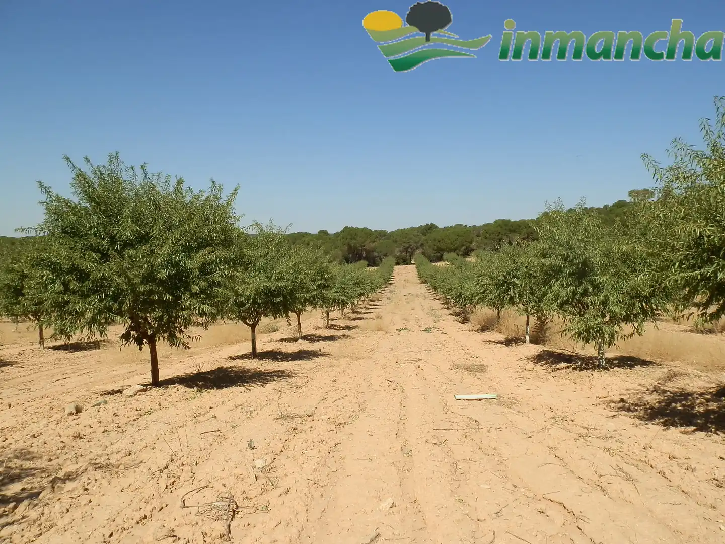 Rural land for sale in La Roda, imagen 10