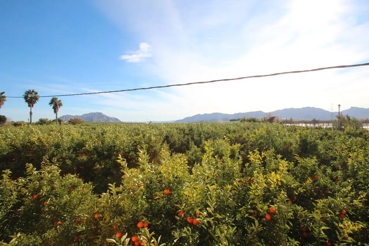 Finca rústica en venta en Orihuela con Jardín privado