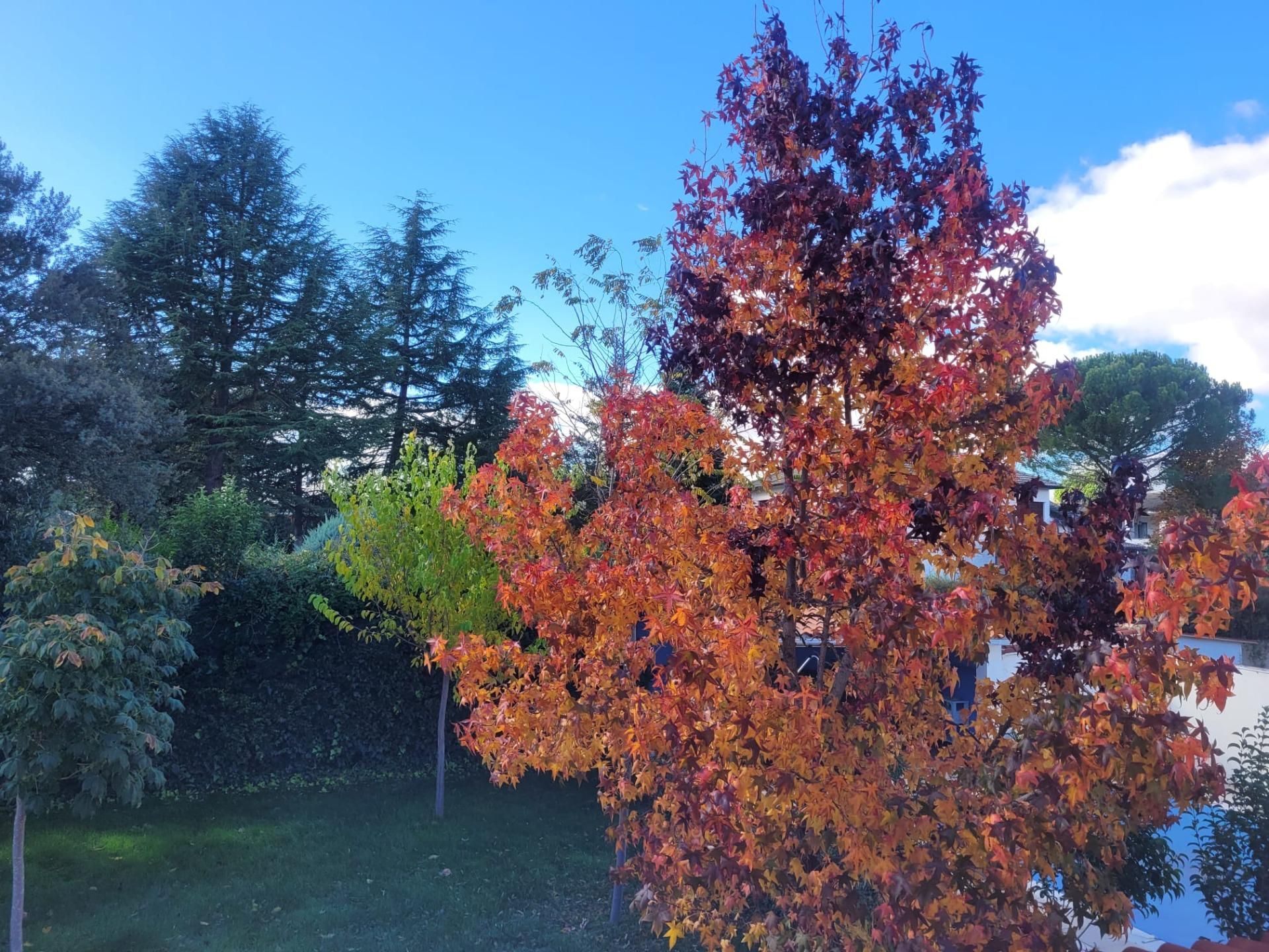 Jardí de Casa o xalet en venda en Galindo y Perahuy amb Calefacció, Jardí privat i Traster