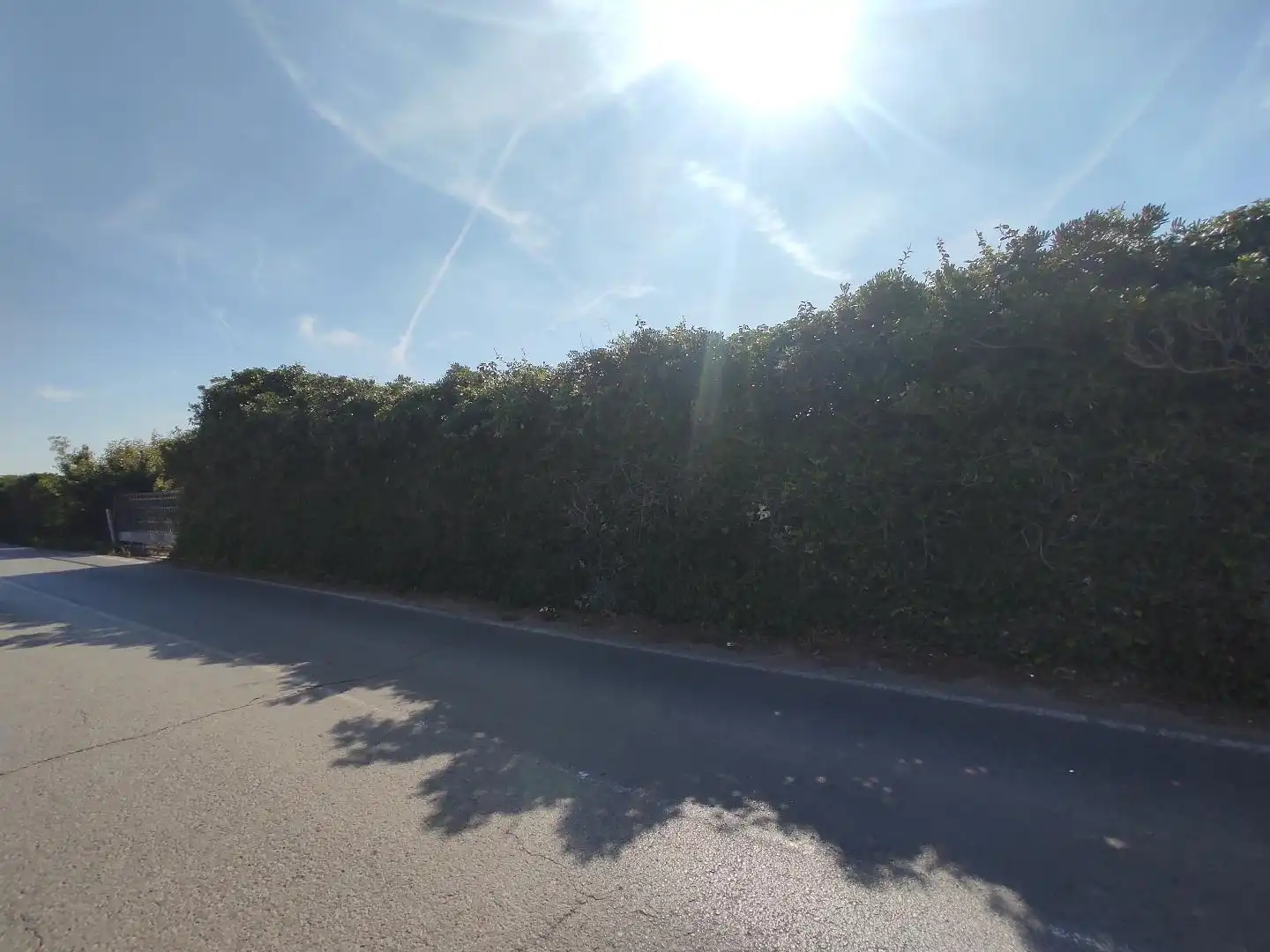Land for sale in Valencia