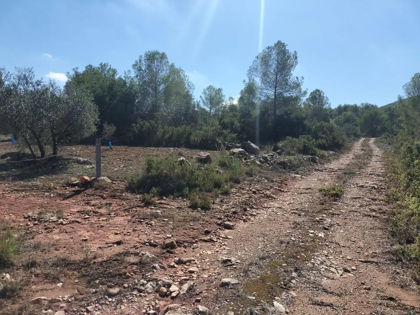 Rustikales Grundstück zum Verkauf in Xàtiva, imagen 4