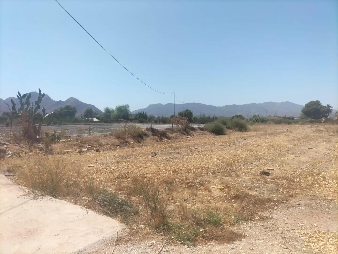 Rural land for sale in La Murada - Los Vicentes, imagen 10