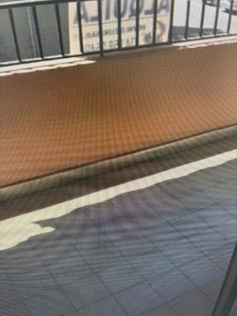 Flat for rent in Granada  with Terrace, Furnished and Oven