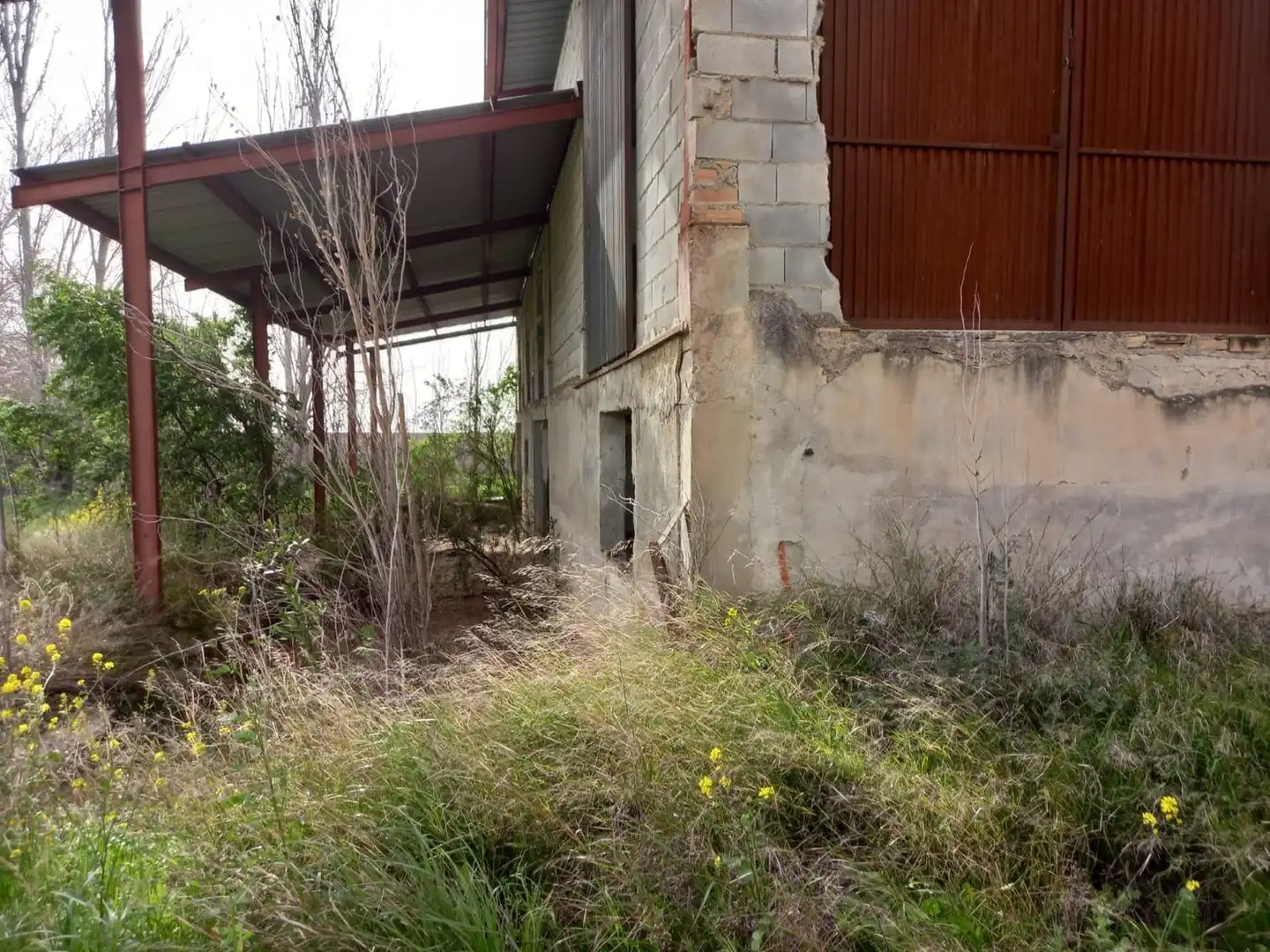 Local commercial à vendre à Pulianas, imagen 10