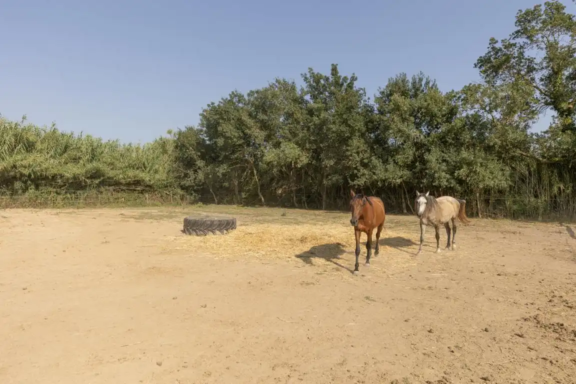 Rural land for sale in Carretera, imagen 24